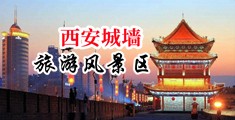 插入小穴av中国陕西-西安城墙旅游风景区